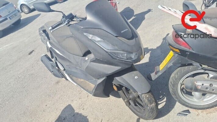 JEREZ_DE_LA_FRONTERA__CADIZ_Sep26